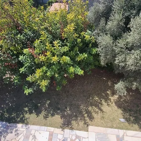 χαρά Eretria (Evia)