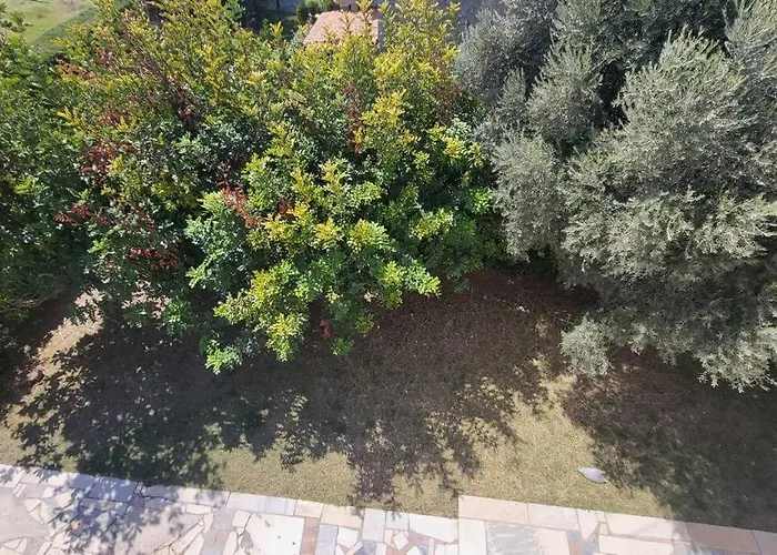 χαρά Эретрия